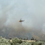 Ολυμπιακοί Αγώνες: Η πυγμάχος Ιμανέ Κελίφ κατονομάζει την JK Rowling και τον Μασκ σε μήνυση για διαδικτυακό εκφοβισμό Μαρία Γεωργακοπούλου