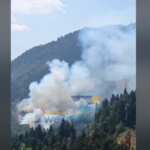 Καρδίτσα: Πυρκαγιά σε δασική έκταση – Δεν απειλείται οικισμός