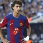 Βαρνάβας: Η εξάπλωση της πυρκαγιάς με το «μάτι» του δουρφόρου