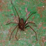 Αδ. Γεωργιάδης σε Στ. Κασσελάκη: Αν ξόδευες για την Αυγή την ενέργεια που ξοδεύεις εναντίον μου, θα πήγαιναν και οι εργαζόμενοί σου διακοπές