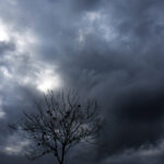 Κασκάρι (Fed): Σκόπιμο να εξετάσουμε μείωση επιτοκίων τον Σεπτέμβριο