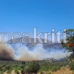 Ολυμπιακός: Αυτά τα νούμερα πήραν οι νέες μεταγραφές – Ποιοι άλλαξαν αριθμούς