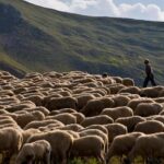 ΗΠΑ: Υποχώρησε από το υψηλό 19 μηνών το εμπορικό έλλειμμα χάρη στα αεροπλάνα και το πετρέλαιο