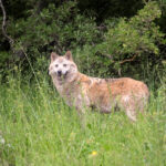 ΑΑΔΕ: Στα 3,433 δισ. ευρώ από Ιανουάριο – Μαΐο το νέο ληξιπρόθεσμο χρέος των πολιτών προς την εφορία