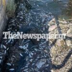 ΣΥΡΙΖΑ: Καταδικάζει την βεβήλωση του Ελληνορθόδοξου Κοιμητηρίου στην Κωνσταντινούπολη