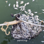 «Δικαίωμα στην επισκευή»: Η νέα οικολογική οδηγία της ΕΕ που ενθαρρύνει τους καταναλωτές να επισκευάζουν συσκευές αντί να τις πετούν