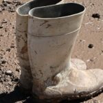 Σχεδόν στο μισό έπεσε η παραγωγή πατάτας στην Ελλάδα στην οκταετία – Τι συμβαίνει στην ΕΕ