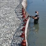 Παναθηναϊκός: Εντυπωσιάζει τους followers της, η σύντροφος του Μπακασέτα