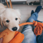 Τεχνητή Νοημοσύνη από τα big data στο gaming