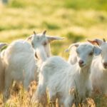 Απίστευτο περιστατικό στη Λάρισα: Ξεκόλλησε κομμάτι από το ταβάνι του νοσοκομείου και έπεσε πάνω σε ασθενή