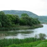 Παναθηναϊκός: Δεν θα παίξει με τη Λανς ο Μαντσίνι