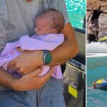 Alpha Bank: Μέτρα στήριξης για πυρόπληκτους ιδιώτες και επιχειρήσεις της Αττικής