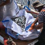 Σε πτωτική πορεία οι τιμές στα σούπερ μάρκετ τον Αύγουστο – Σε ποια προϊόντα καταγράφονται οι μεγαλύτερες μειώσεις