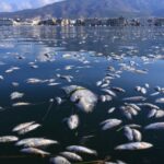 Χάκαραν τον Εμπαπέ στο Twitter: “Ο Κριστιάνο είναι ο GOAT μου, όχι ο νάνος ο Μέσι”