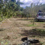 ΑΕΚ, μεταγραφές: Οριακές διαπραγματεύσεις της Ένωσης με την Τσέλσι για τον Φοφανά