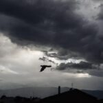 Μητσοτάκης: Στην ώρα της η συζήτηση για Πρόεδρο της Δημοκρατίας – Προσβλητική η ανακύκλωση του ζητήματος