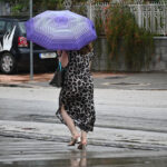 Live η ομιλία του Στ. Κασσελάκη στην Κεντρική Επιτροπή του ΣΥΡΙΖΑ