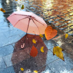 Μπακασέτας: “Ο Γιοβάνοβιτς έχει βοηθήσει και με τον τρόπο του όλα αυτά τα χρόνια το ποδόσφαιρο”