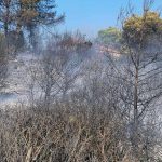 Βίντεο με την κολώνα να πέφτει στη μέση του δρόμου στη Νέα Φιλαδέλφεια – Η στιγμή που το ΕΚΑΒ παίρνει τη 14χρονη τραυματία