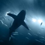 Άρης: Πάτησε Θεσσαλονίκη ο Χουάνκαρ για τους “κίτρινους”