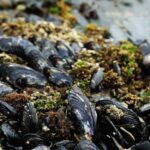 Πυροσβεστική: 20 αγροτοδασικές πυρκαγιές το τελευταίο 24ωρο