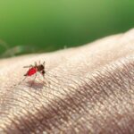 ΣΥΡΙΖΑ: Η κυβέρνηση να αναλάβει πρωτοβουλίες για την κατάπαυση του πυρός στη Γάζα