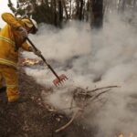 Γ. Στουρνάρας: Ομοιότητες και διαφορές της ελληνικής με την ιρλανδική και πορτογαλική οικονομία