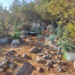 Στο CAS μεταφέρεται η διαμάχη Σπόρτινγκ Λ. και Ίντερ Παναγιώτης Κουμάνταρος