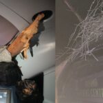 Κόλλησαν στο «μηδέν» Λαμία και Καλλιθέα Παναγιώτης Κουμάνταρος