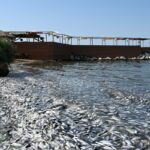 Παύλος Πολάκης: Επιστρέφει στην Κ.Ο. του ΣΥΡΙΖΑ