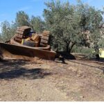 Ο Παναθηναϊκός ψάχνει την πρώτη επιστροφή κόντρα στον Πανσερραϊκό πριν απ’ την εβδομάδα της “φωτιάς”