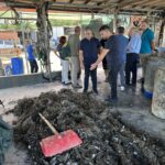 Νάπολι: Σε διαπραγματεύσεις με τη Γαλατά για τον Όσιμεν