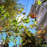 Ο καιρός σήμερα 12/9/2024