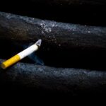 Πέθανε ο συνθέτης Αλέξης Παπαδημητρίου