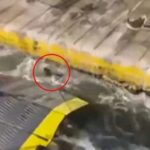 Παραολυμπιακοί Αγώνες: Πάλεψε, αλλά δεν μπόρεσε το χάλκινο η Μασούρου, 5η θέση στα 48 κιλά της κατηγορίας J1 στο τζούντο