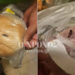 Έγινε ο πρώτος γάμος ομόφυλου ζευγαριού στη Χίο – Δείτε φωτογραφίες