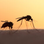 Έρχονται επενδύσεις στις εμπορευματικές μεταφορές και τα logistics