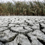 Ανοδικές τάσεις στο άνοιγμα του Χρηματιστηρίου Αθηνών