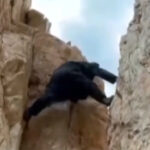 Εορτολόγιο: Ποιοι γιορτάζουν σήμερα, 18 Σεπτεμβρίου