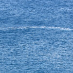 ΠΑΟΚ: Η διαχείριση των φορ ενόψει Βόλου και Γαλατασαράι