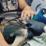 Μόνο ψηφιακά η υποβολή πράξεων και αιτήσεων σε όλα τα κτηματολογικά γραφεία