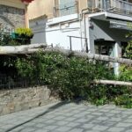 Σαν σήμερα 30 Σεπτεμβρίου: Η σιδηροδρομική τραγωδία στο Δερβένι – Όταν μια ακούσια χρήση του σήματος κινδύνου κόστισε 34 ζωές