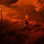 Σε απολογία Κοβάσεβιτς και Τζαβέλλας Παναγιώτης Κουμάνταρος