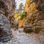 Λεωφορείο συγκρούστηκε με μοτοσικλέτα στη Θεσσαλονίκη – Τραυματίστηκε σοβαρά ο αναβάτης