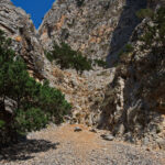 Ολυμπιακός: Η φωτογραφία του Βαγγέλη Μαρινάκη με τον Ροντινέι μετά την ανανέωση