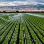 Μαρινάκης για συνάντηση Μητσοτάκη – Ερντογάν: Στόχος να διατηρήσουμε όσα έχουμε κερδίσει