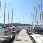 Η τακτική απέναντι στον Κασσελάκη: Πότε θα κατεβάσουν δύο υποψήφιους, πότε τρεις – Το παρασκήνιο της ερώτησης των 11