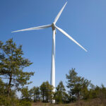 Η Κηφισιά το έκανε ξανά αποδεικνύοντας πως έχει το know how στο Κύπελλο Ελλάδας Betsson