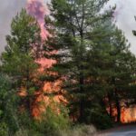 Μπάλντοκ: Πρώην συμπαίκτες του στη Σέφιλντ θρηνούν για τον θάνατό του