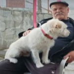 Εγκρίθηκαν 8,5 εκατ. ευρώ για τη δημιουργία νέων σχολείων που θα αντικαταστήσουν λυόμενα του σεισμού του ‘78 στη Θεσσαλονίκη